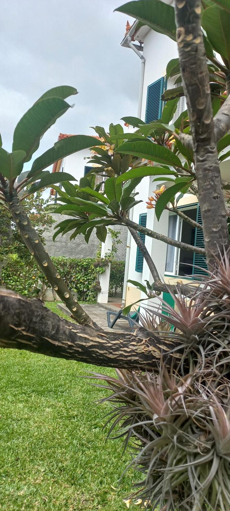 Villa Cosy Nook Funchal  Eksteriør bilde