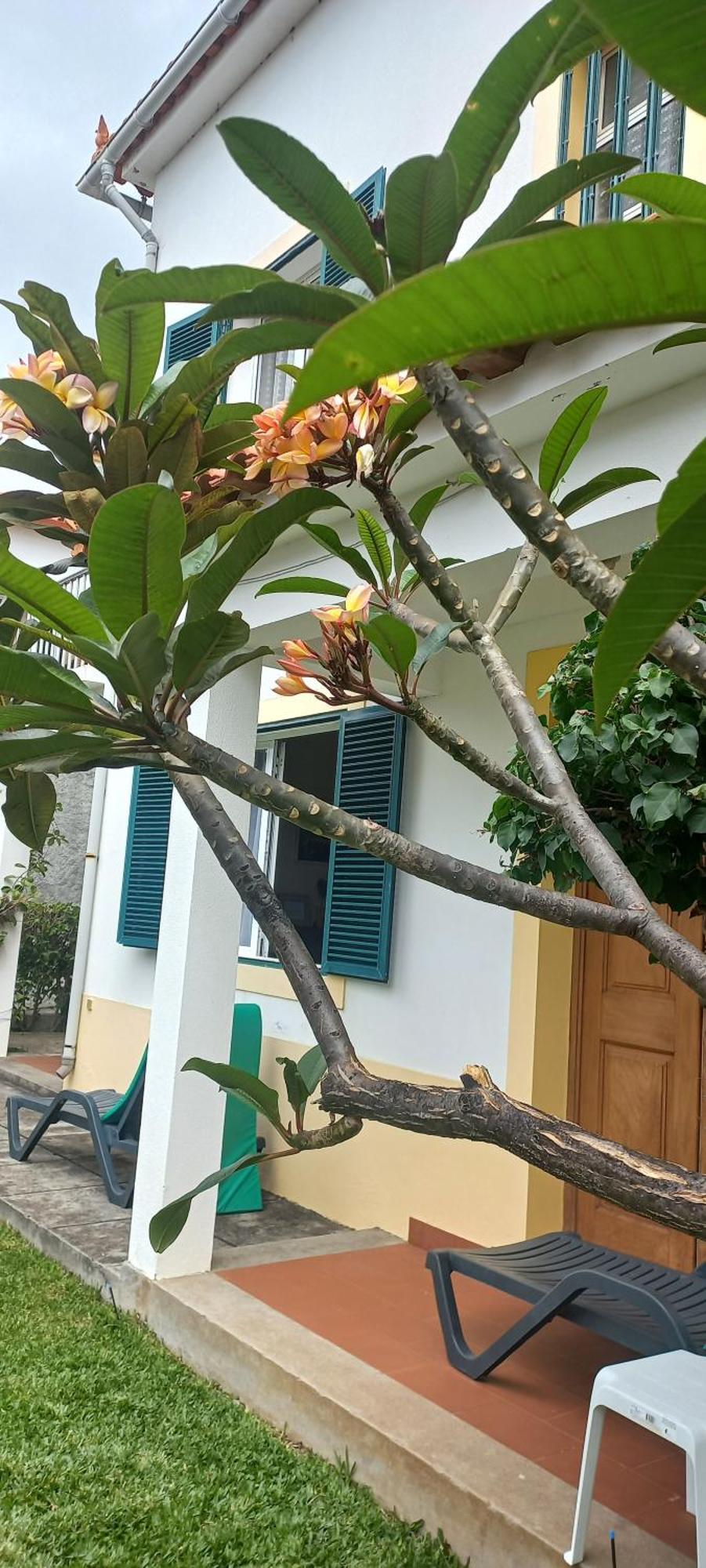 Villa Cosy Nook Funchal  Eksteriør bilde